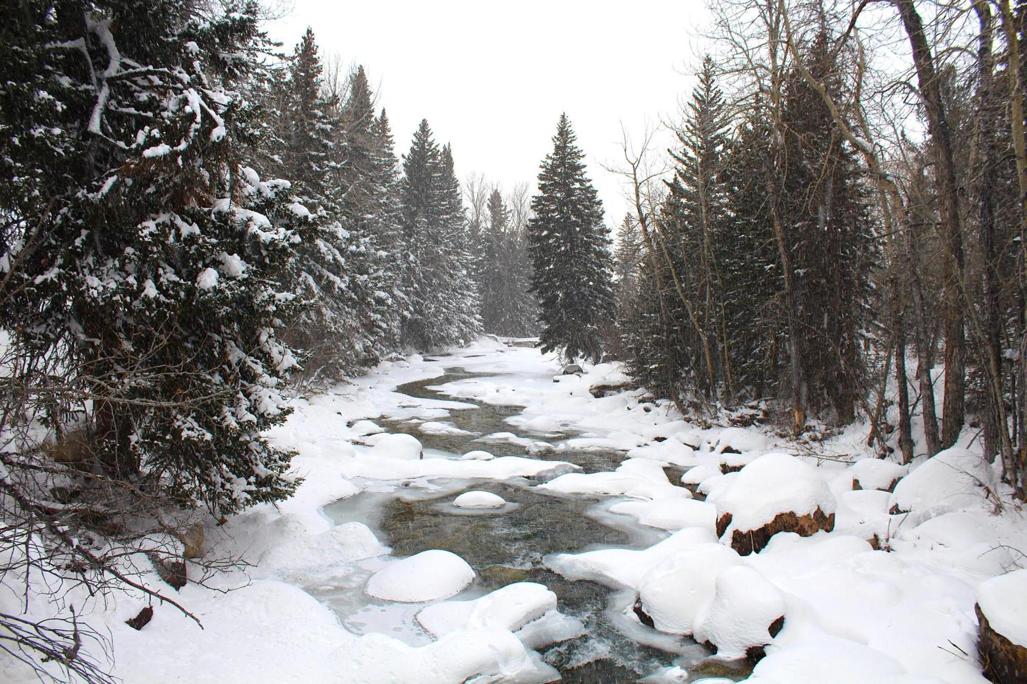 Rock Creek Resort Ред-Лодж Экстерьер фото